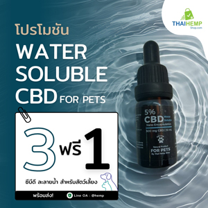 Pet Water Soluble CBD (ซีบีดีละลายน้ำสำหรับสุนัข แมว)